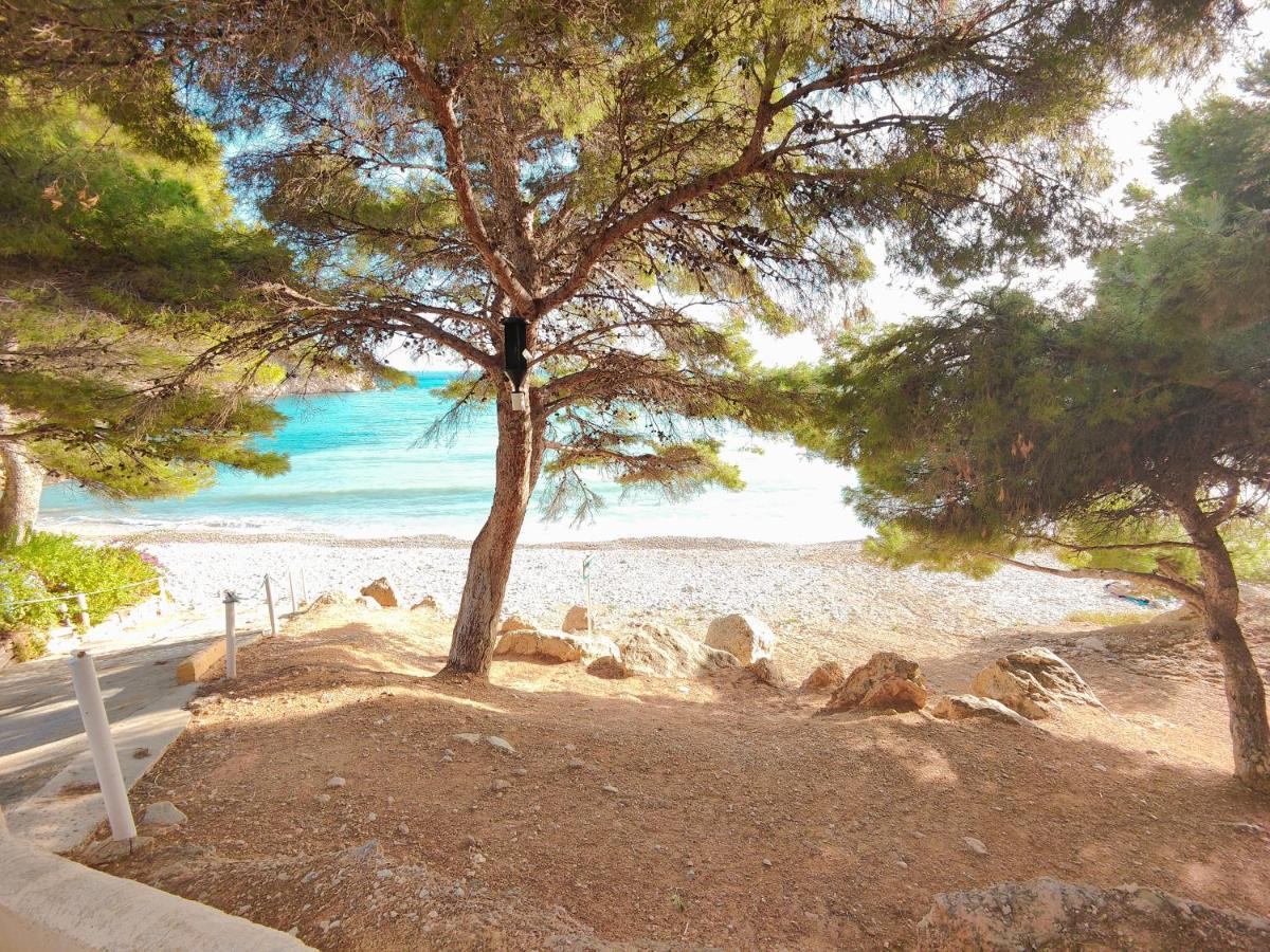 Luxury Apartments Mascarat Αλτέα Εξωτερικό φωτογραφία